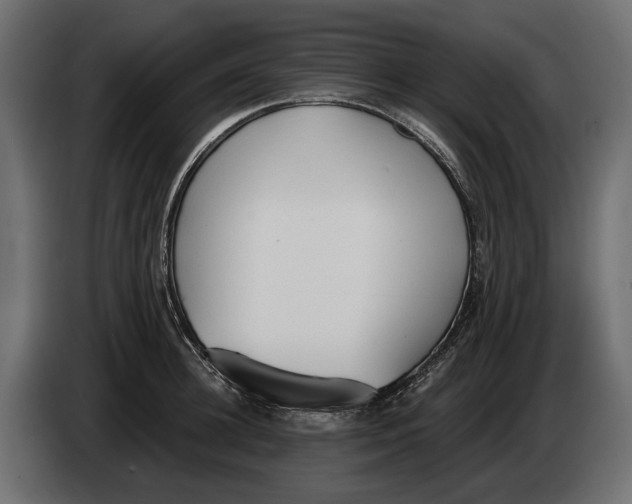 X0000083530948200703021548