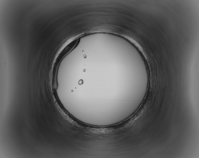 X0000083530949200703021549