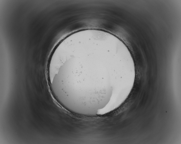 X0000083530950200703021549