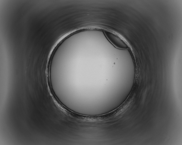 X0000083530951200703021549