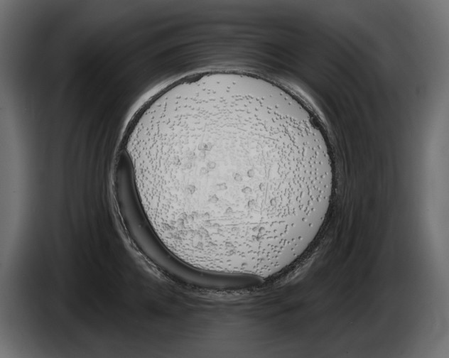 X0000083530952200703021549