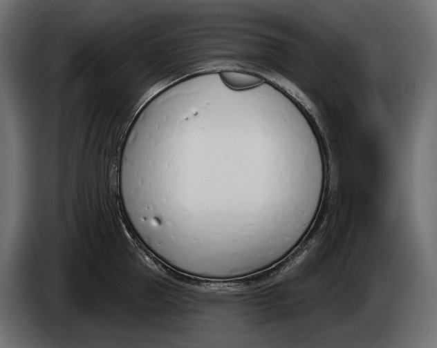 X0000083530953200703021549