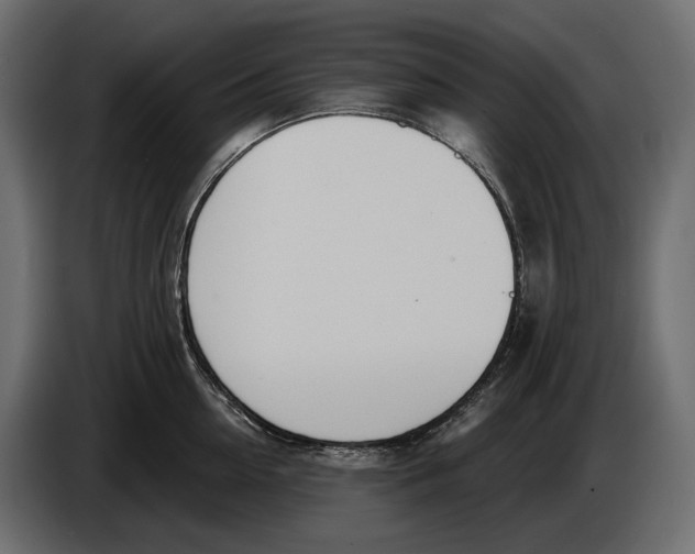 X0000083530954200703021549