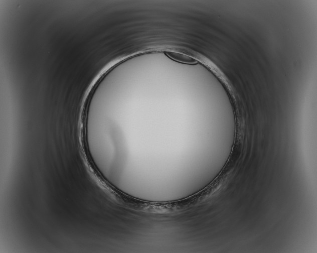 X0000083530955200703021549