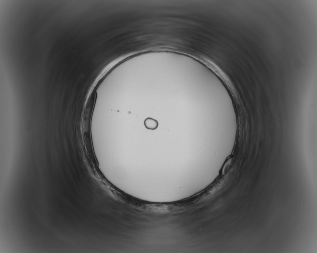 X0000083530956200703021549