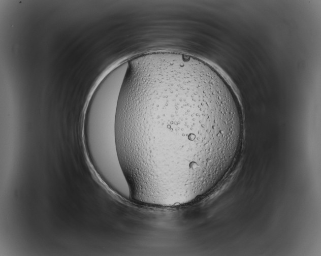 X0000083530957200703021549