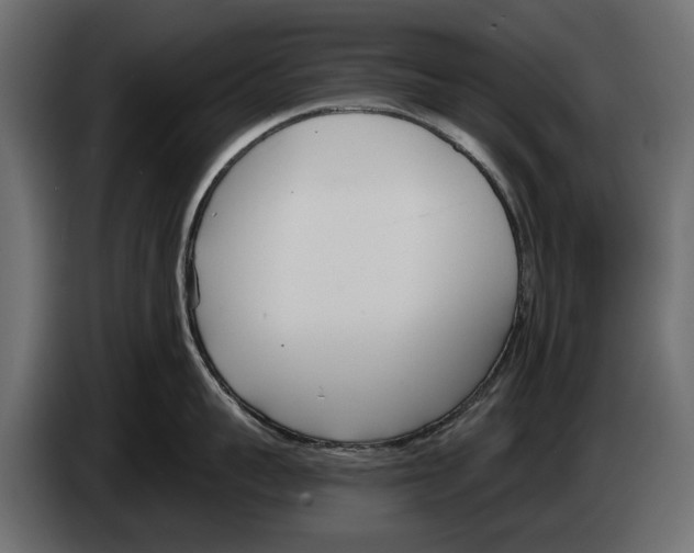 X0000083530959200703021549