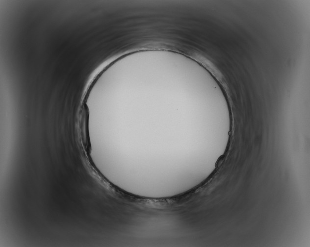 X0000083530960200703021549