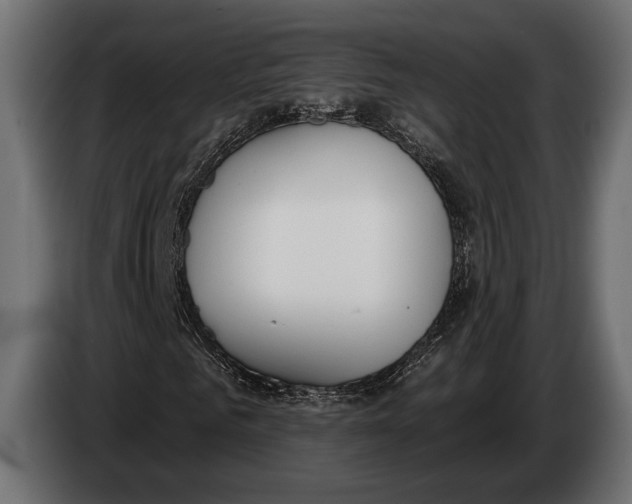 X0000083530961200703021548