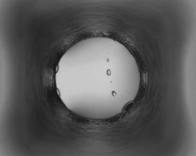 X0000083530963200703021548