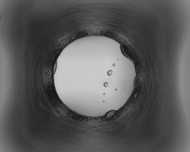 X0000083530964200703021548