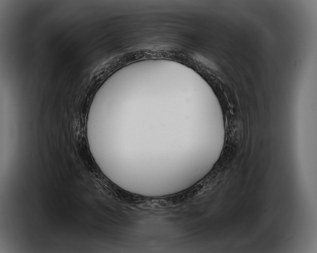 X0000083530966200703021548