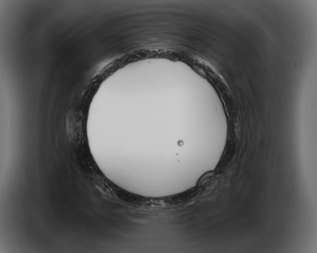 X0000083530968200703021548