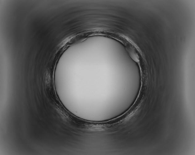 X0000083530969200703021548