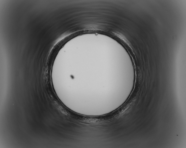 X0000083530971200703021548