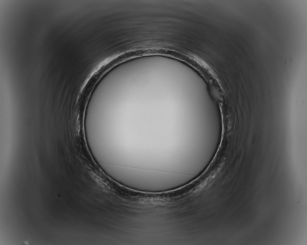 X0000083530973200703021548