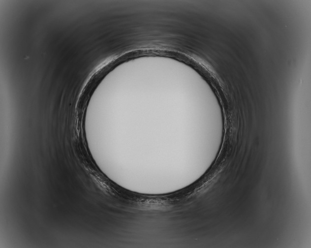 X0000083530974200703021548