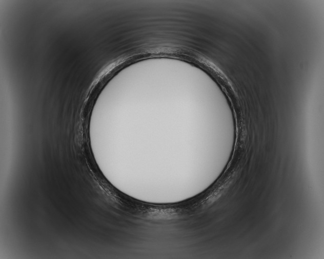 X0000083530978200703021548