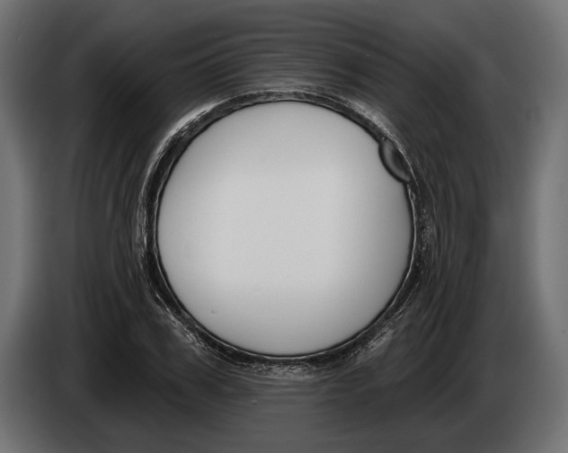 X0000083530979200703021548