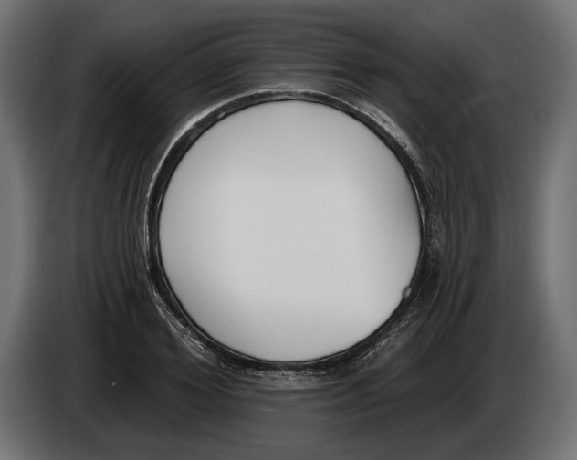 X0000083530980200703021548