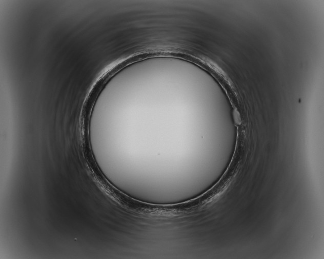 X0000083530981200703021547