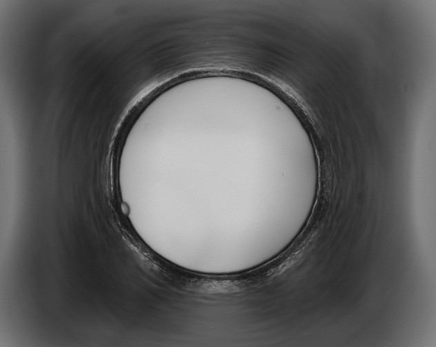 X0000083530982200703021547