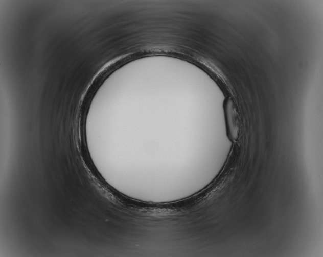 X0000083530984200703021547