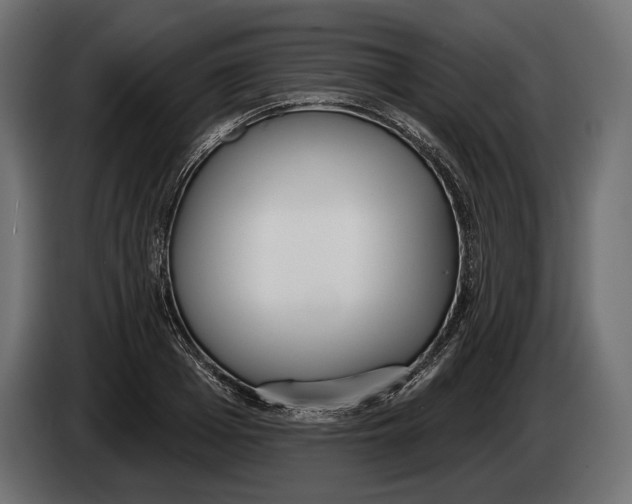 X0000083530985200703021547