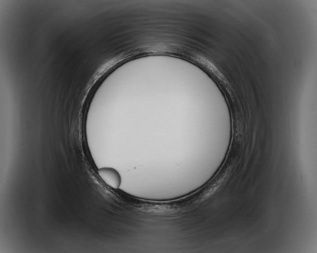 X0000083530986200703021547