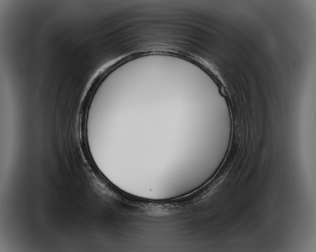 X0000083530987200703021547