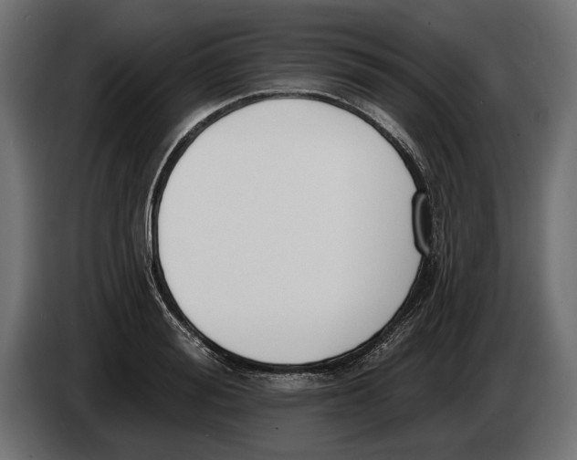 X0000083530988200703021547