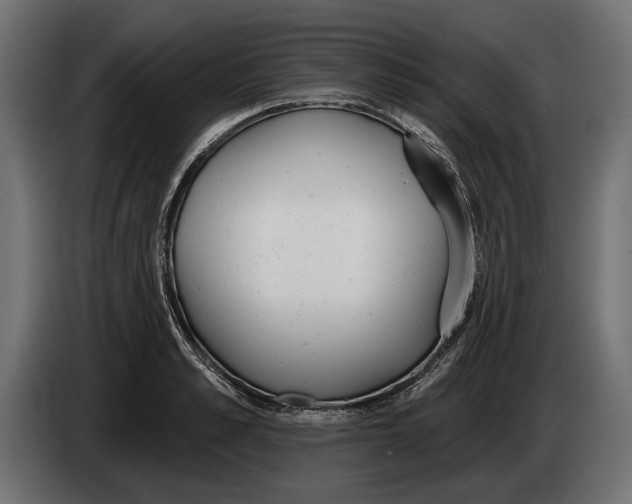 X0000083530989200703021547