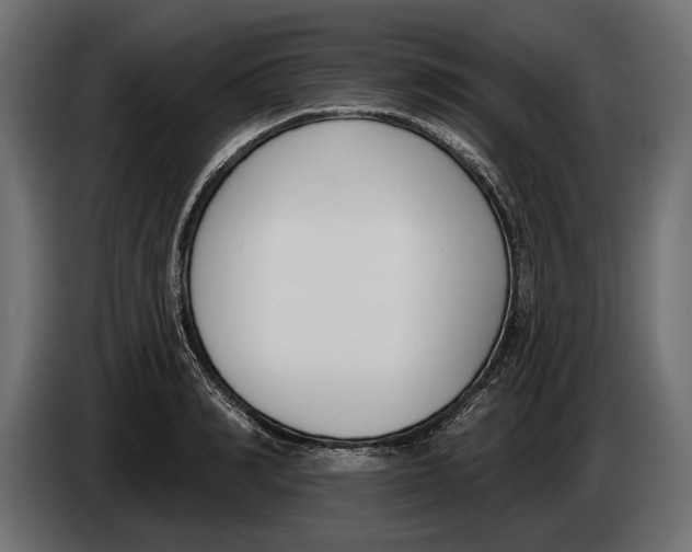 X0000083530990200703021547