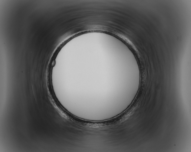 X0000083530991200703021547