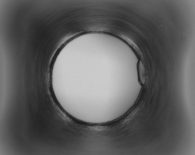 X0000083530992200703021547