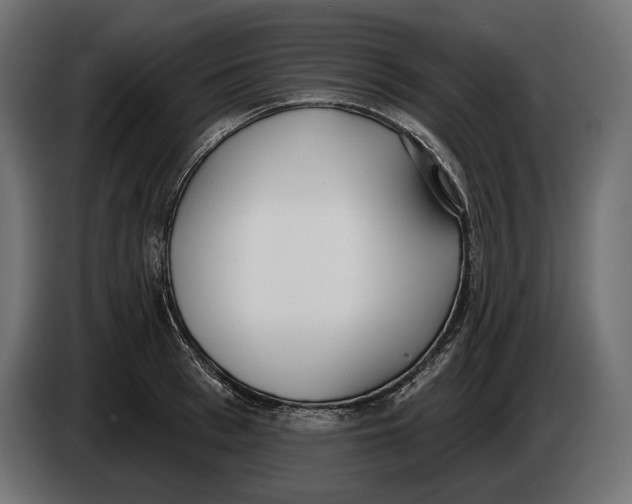 X0000083530993200703021547