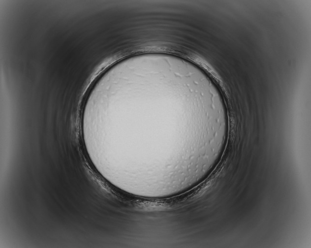 X0000083530994200703021547