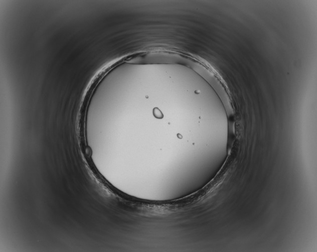 X0000083530995200703021547