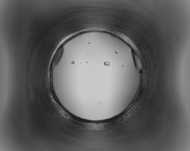 X0000083530996200703021547