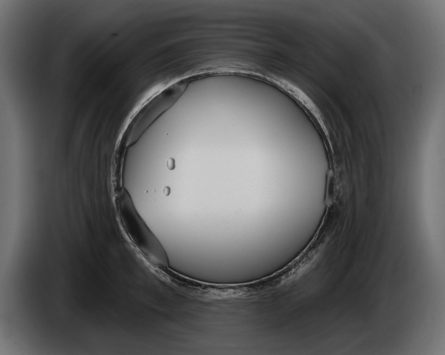 X0000083530997200703021547