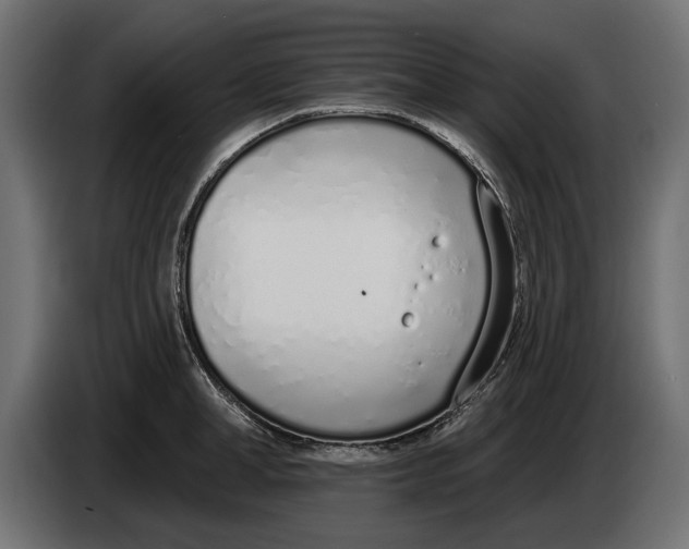 X0000083530998200703021547