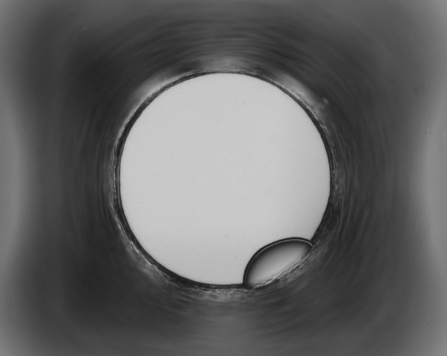 X0000083531000200703021547