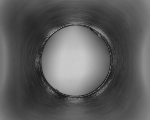 X0000083531001200703021547