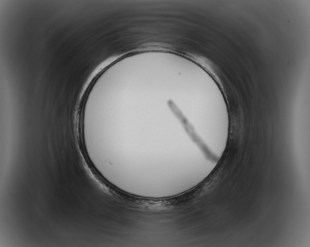 X0000083531003200703021547