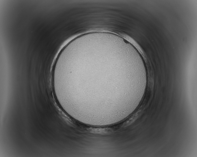 X0000083531004200703021547