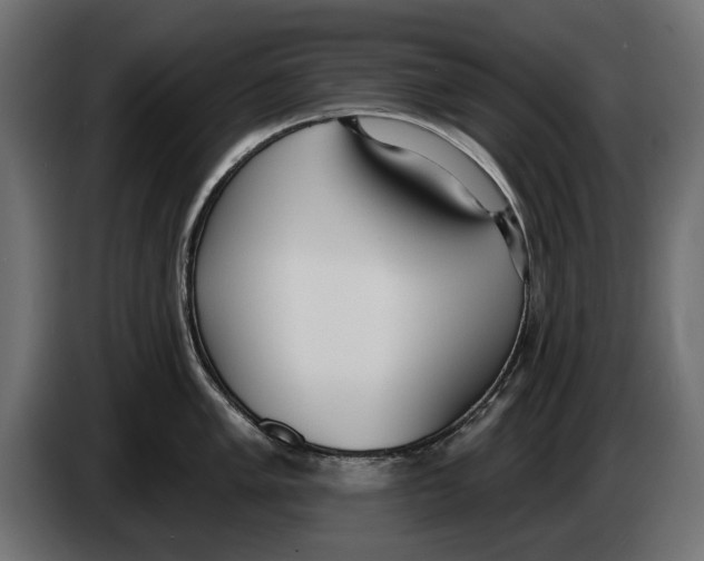 X0000083531005200703021547