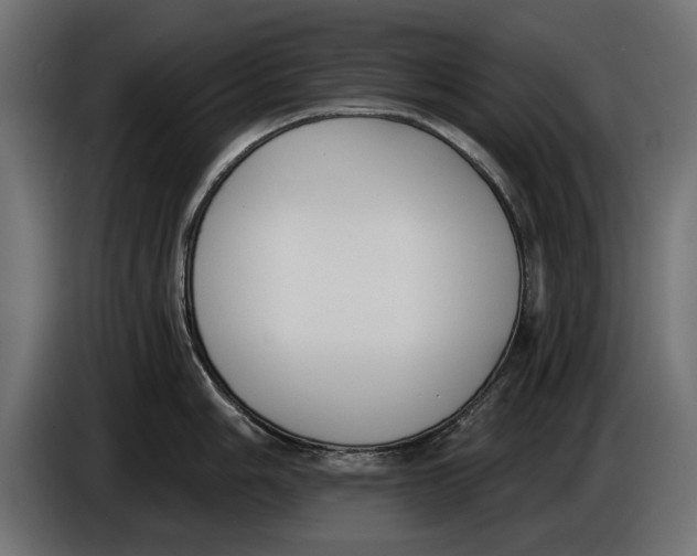 X0000083531006200703021547