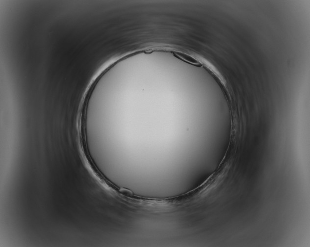 X0000083531007200703021547