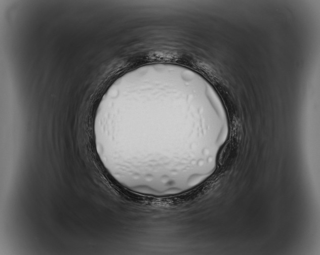 X0000083531009200703021546