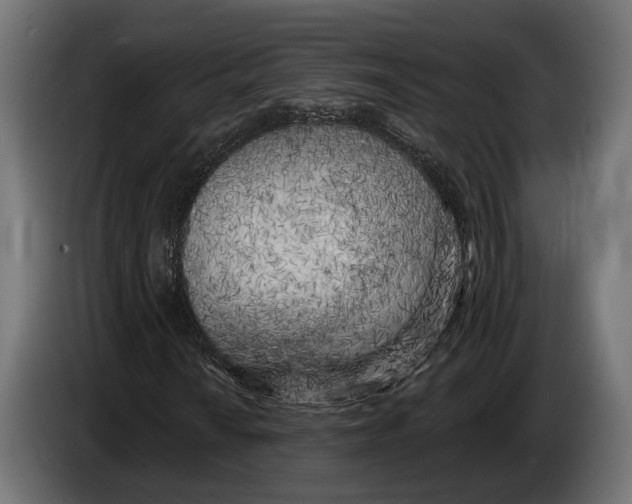 X0000083531010200703021546